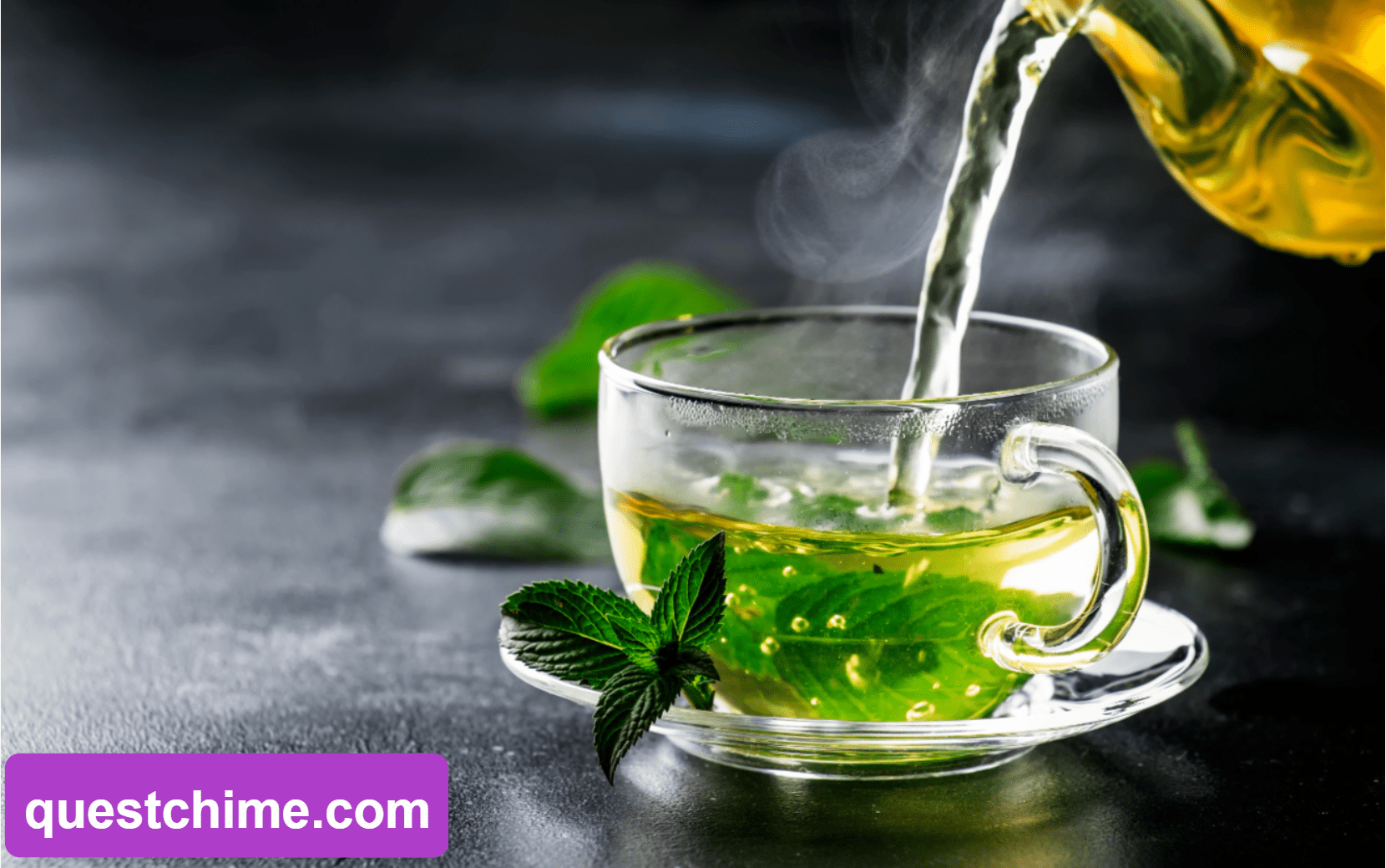 Best Green Tea Brands In India